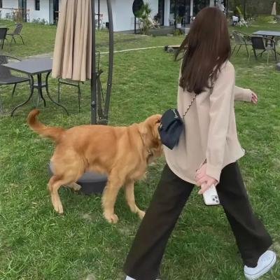 控制点